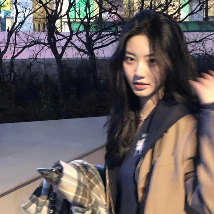 汤姆猫与杰利鼠